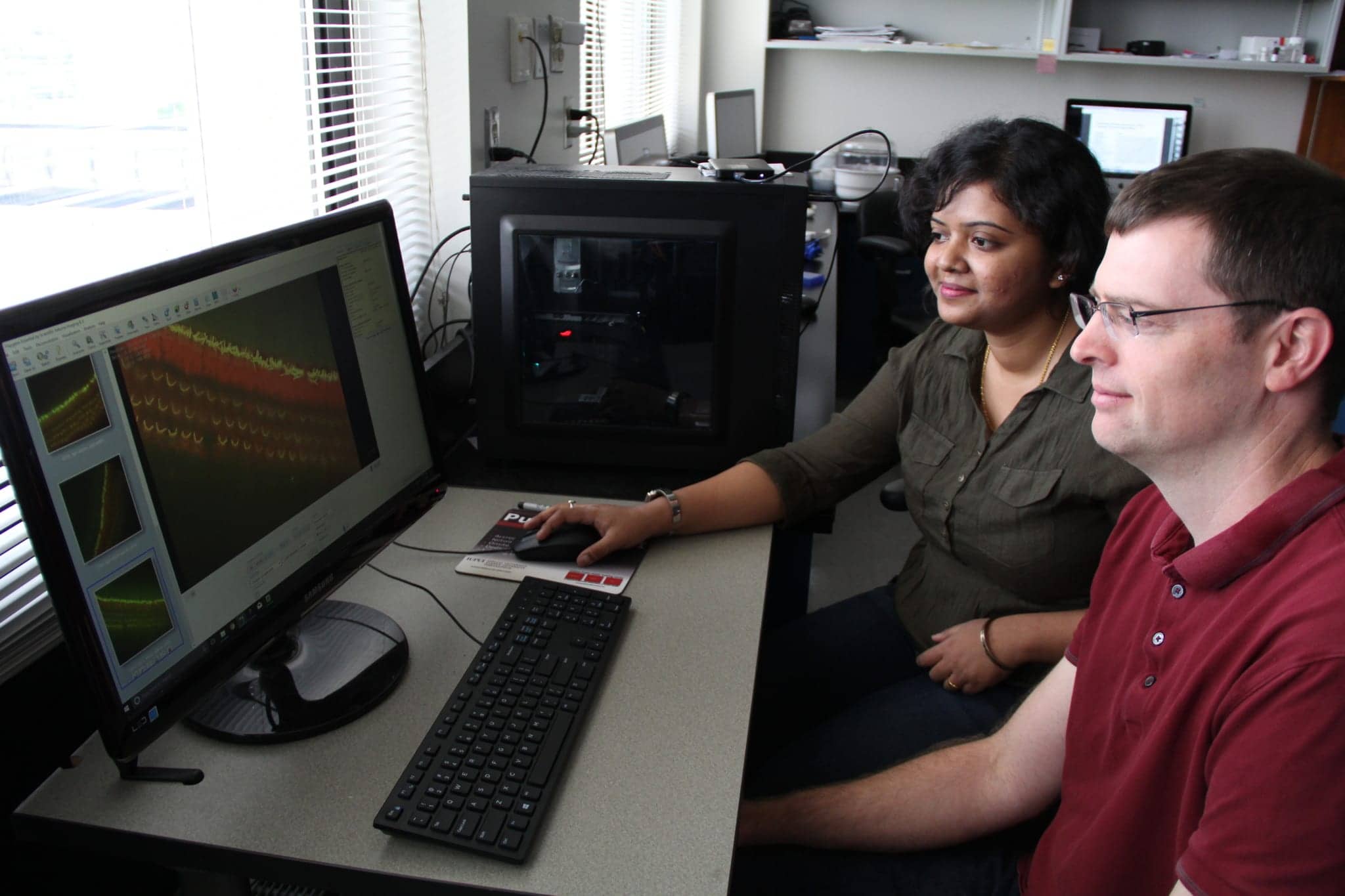 IUPUI Cell Biologist Tackles Agerelated Hearing Loss with 1.9 Million