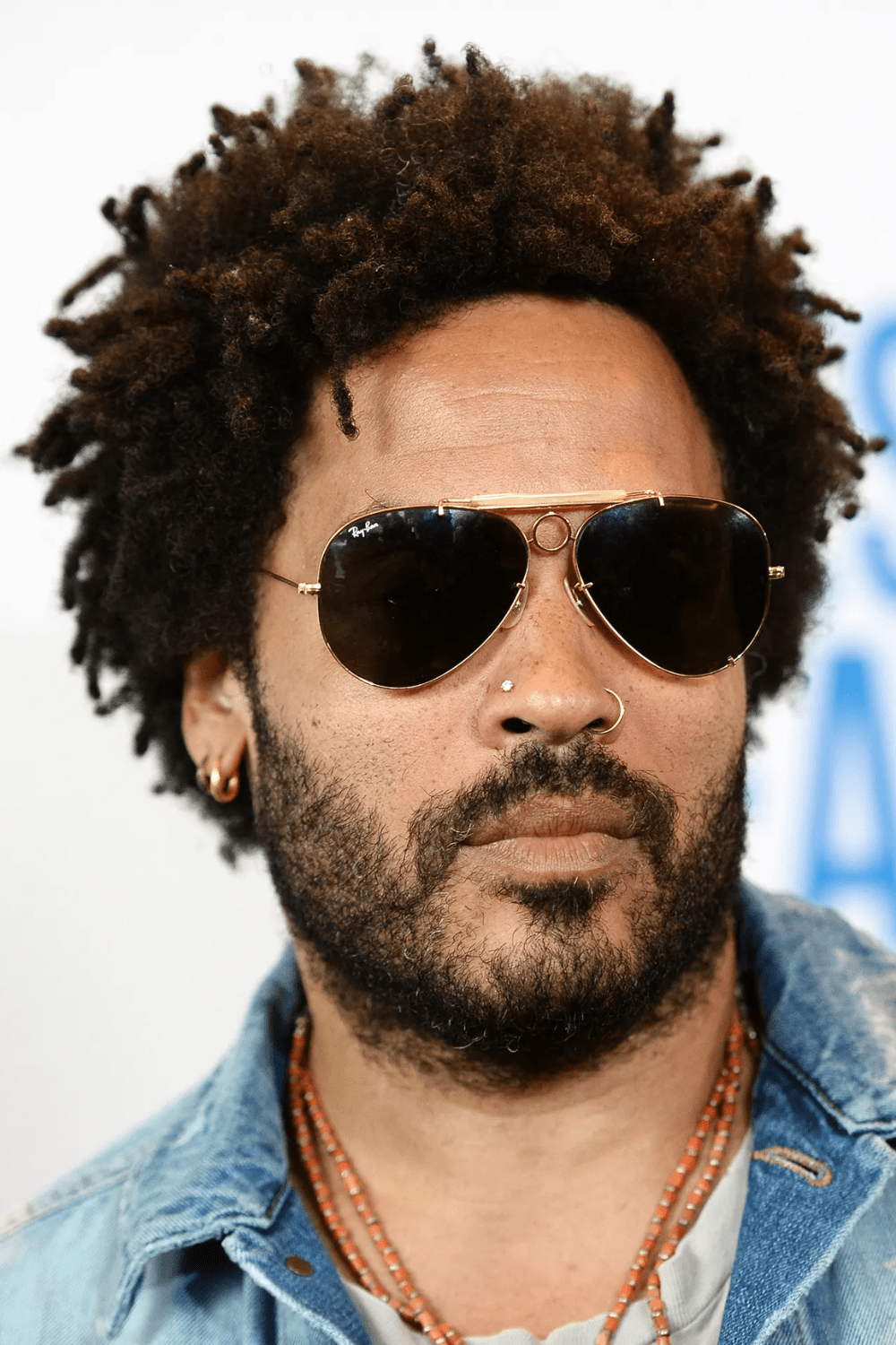 The Best Lenny Kravitz Hair Moments Heartafact