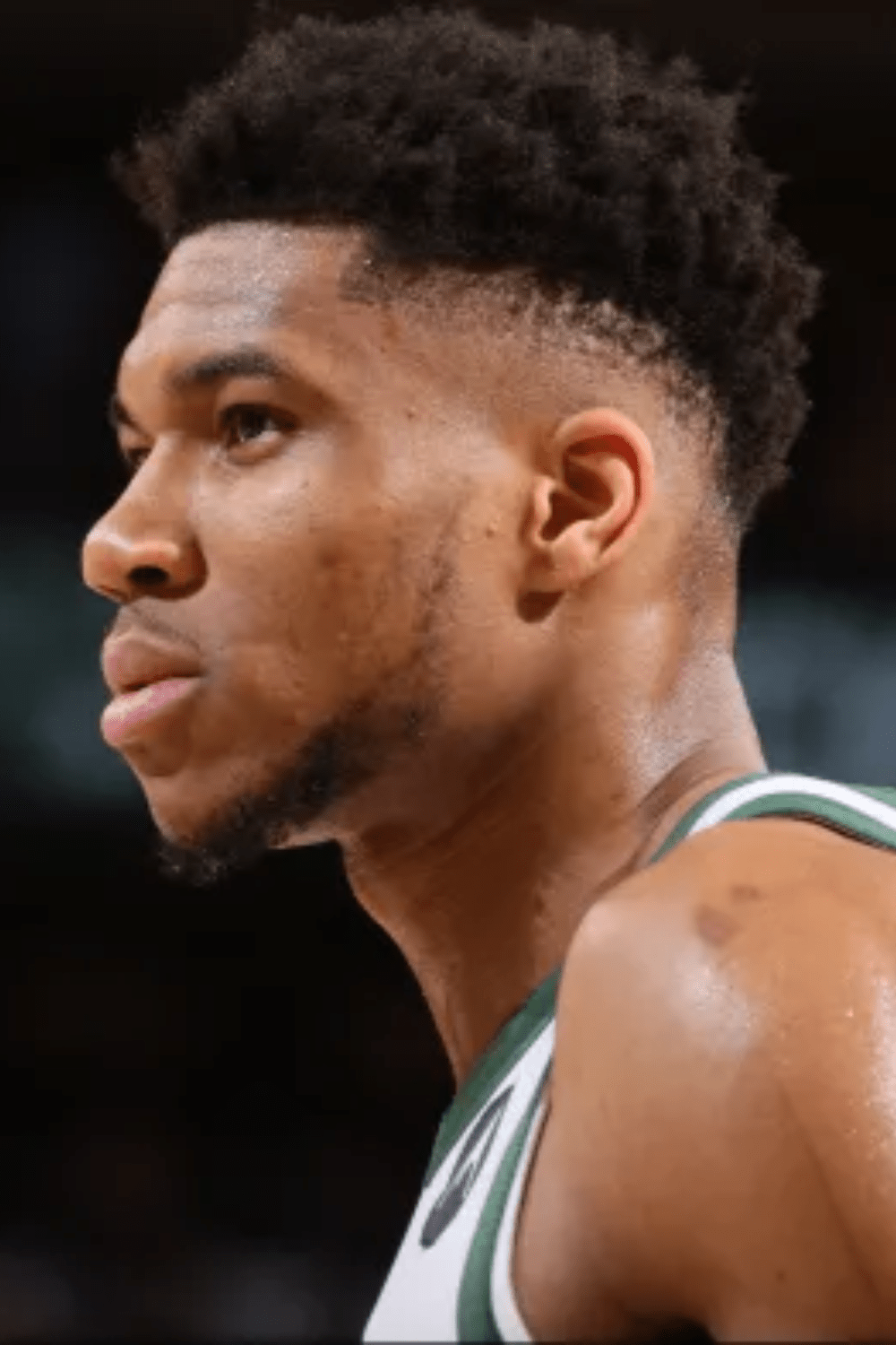 Giannis Antetokounmpo Hair (Detailed Look) Heartafact