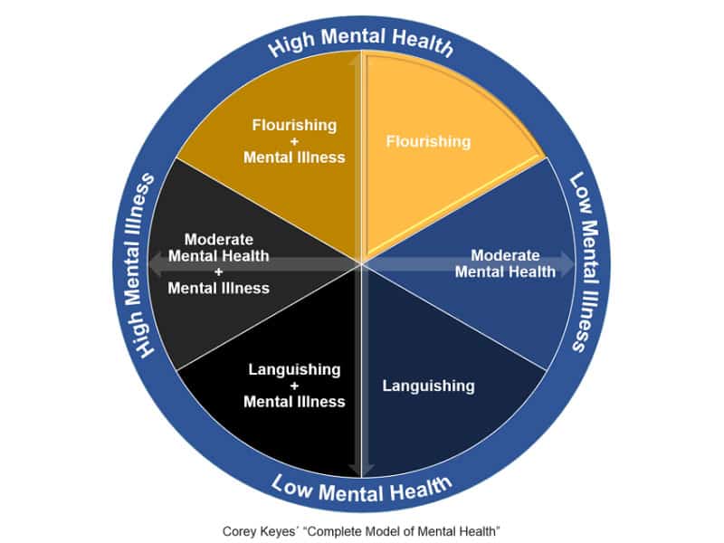 Beyond the "Blah" of Languishing to Flourishing Heart Based Institute