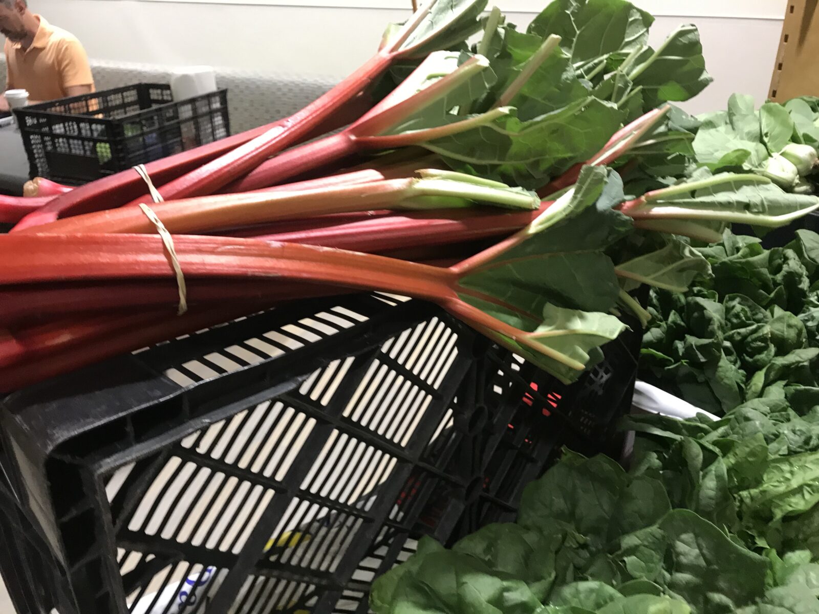 Cooking with Rhubarb HeartBeet Farms