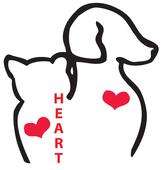 Adoptable Cats HEART Animal Rescue and Adoption Team, Hamburg NY