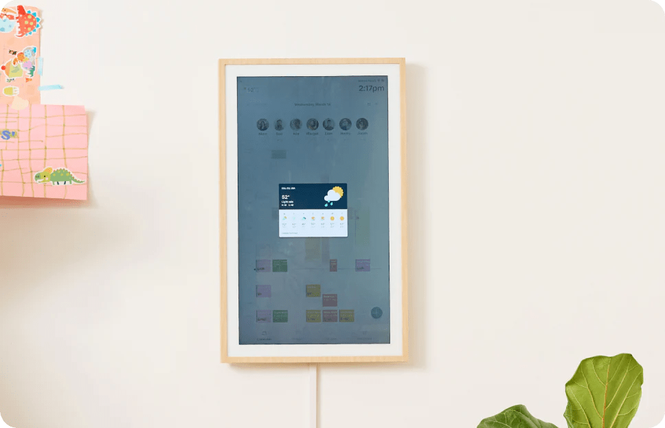 Features – Hearth Display