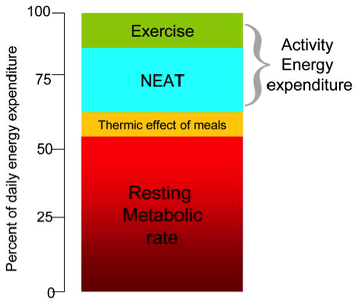 Metabolism Heartland Weight Loss
