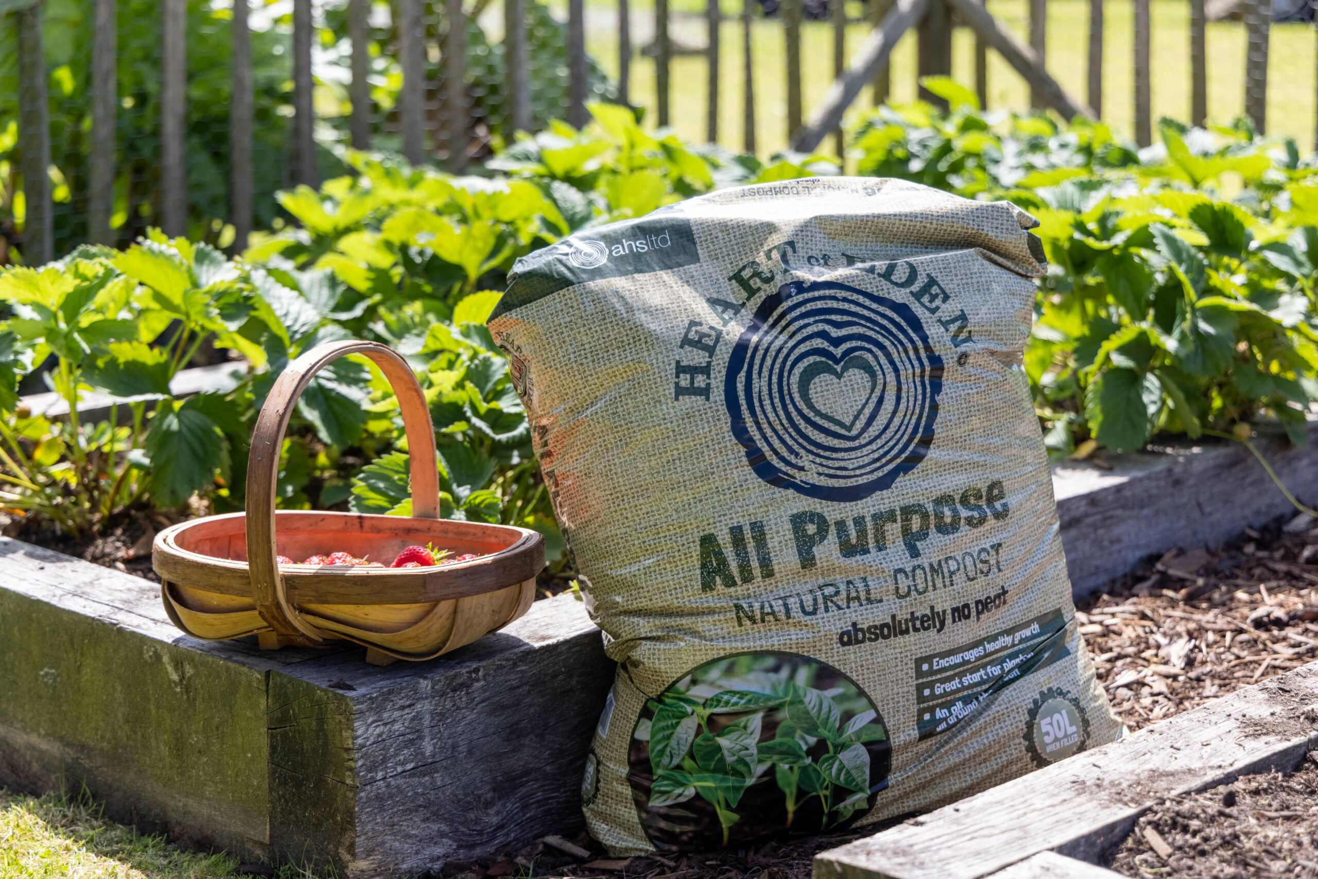 A Guide to Applying PeatFree AllPurpose Compost to Your Garden Beds