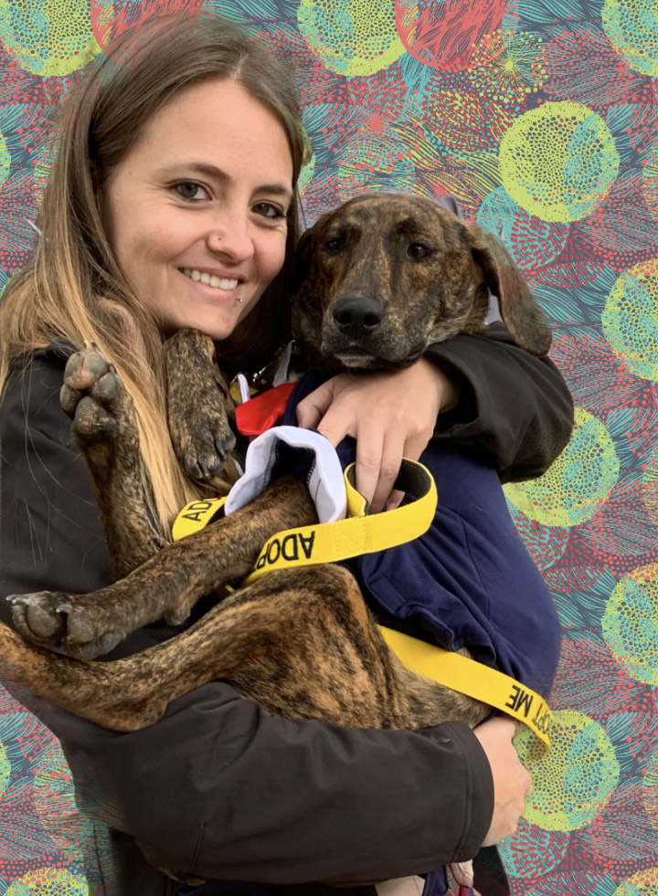 About Dallas Fort Worth Dog Trainer DFW Dog Trainer