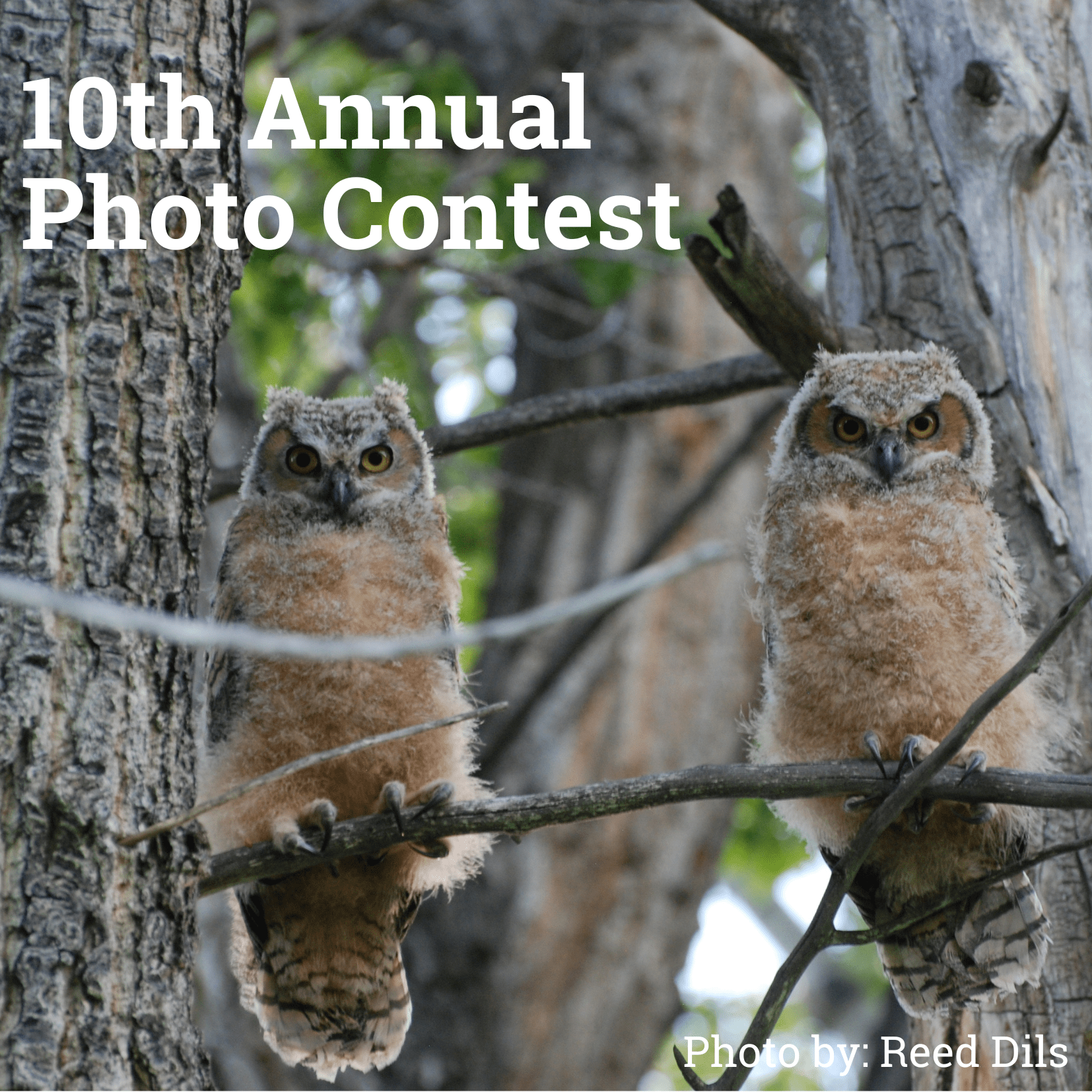 GARNA’s 10th Annual Photo Contest Celebrates Upper Arkansas Valley