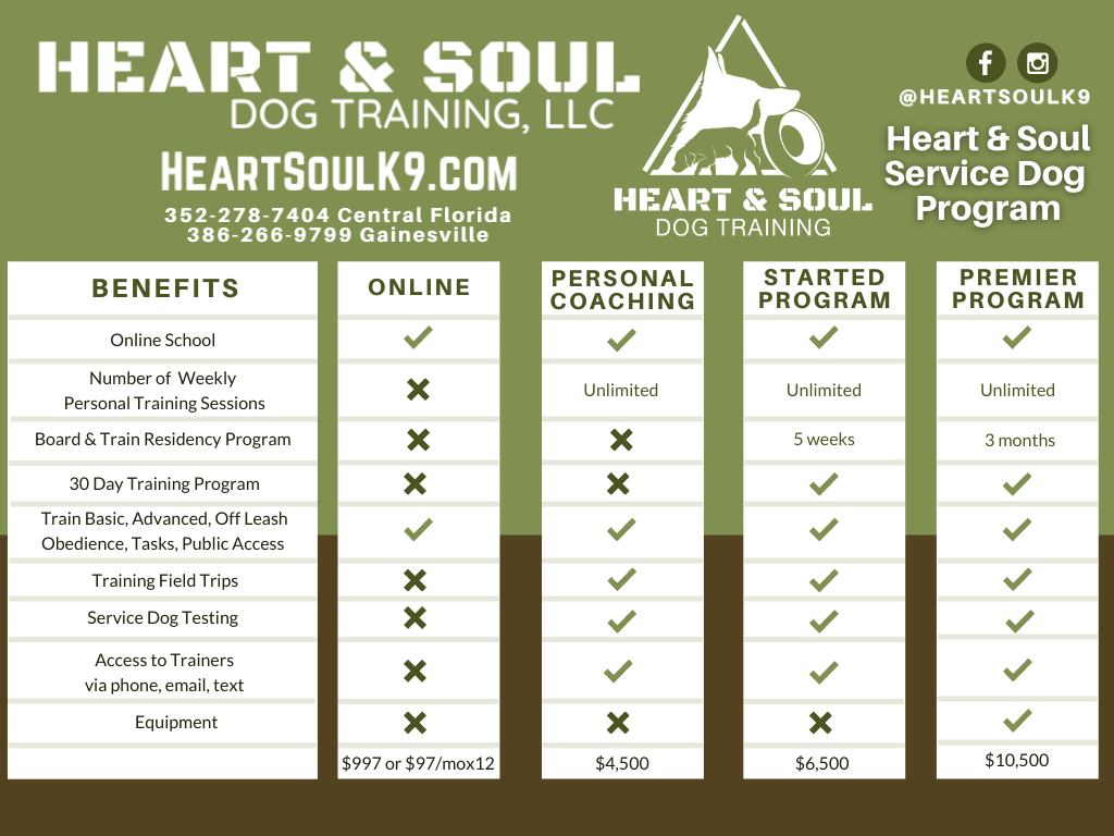 H&S Service Dog Program — Heart & Soul Dog Training