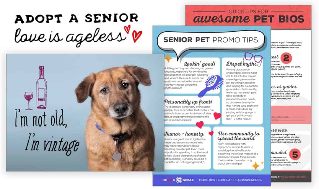 Senior Pets Marketing Toolkit Hearts Speak
