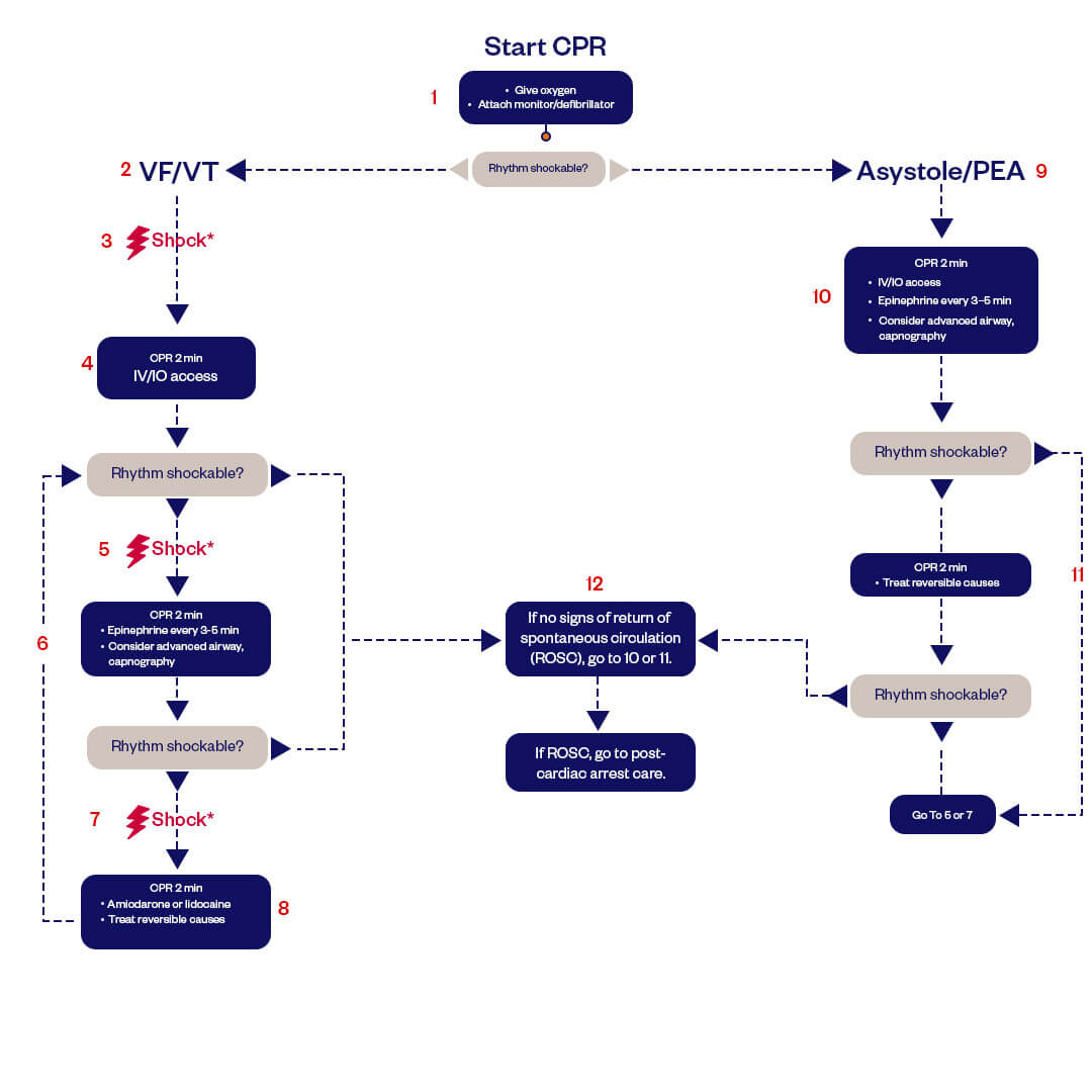 AHA ACLS Algorithms & Flowcharts 2020-2025: Emergency Cardiovascular