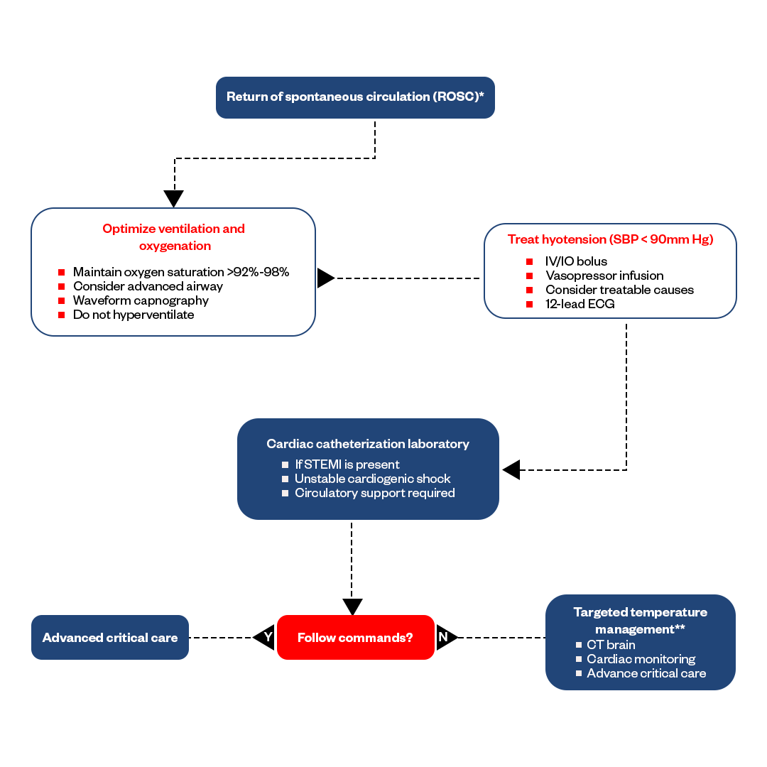 Acls Algorithms 2024 Ginni Justine