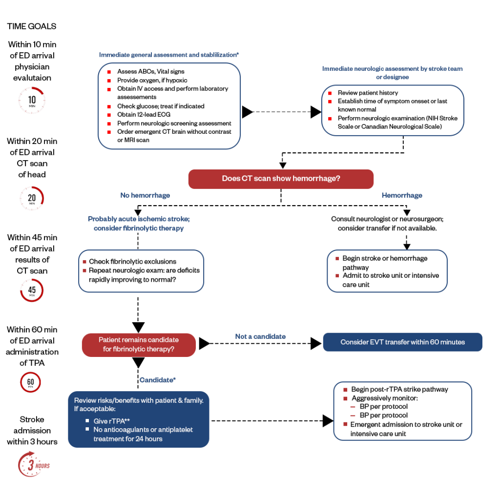 ACLS Suspected Stroke Algorithm Types & Treatments