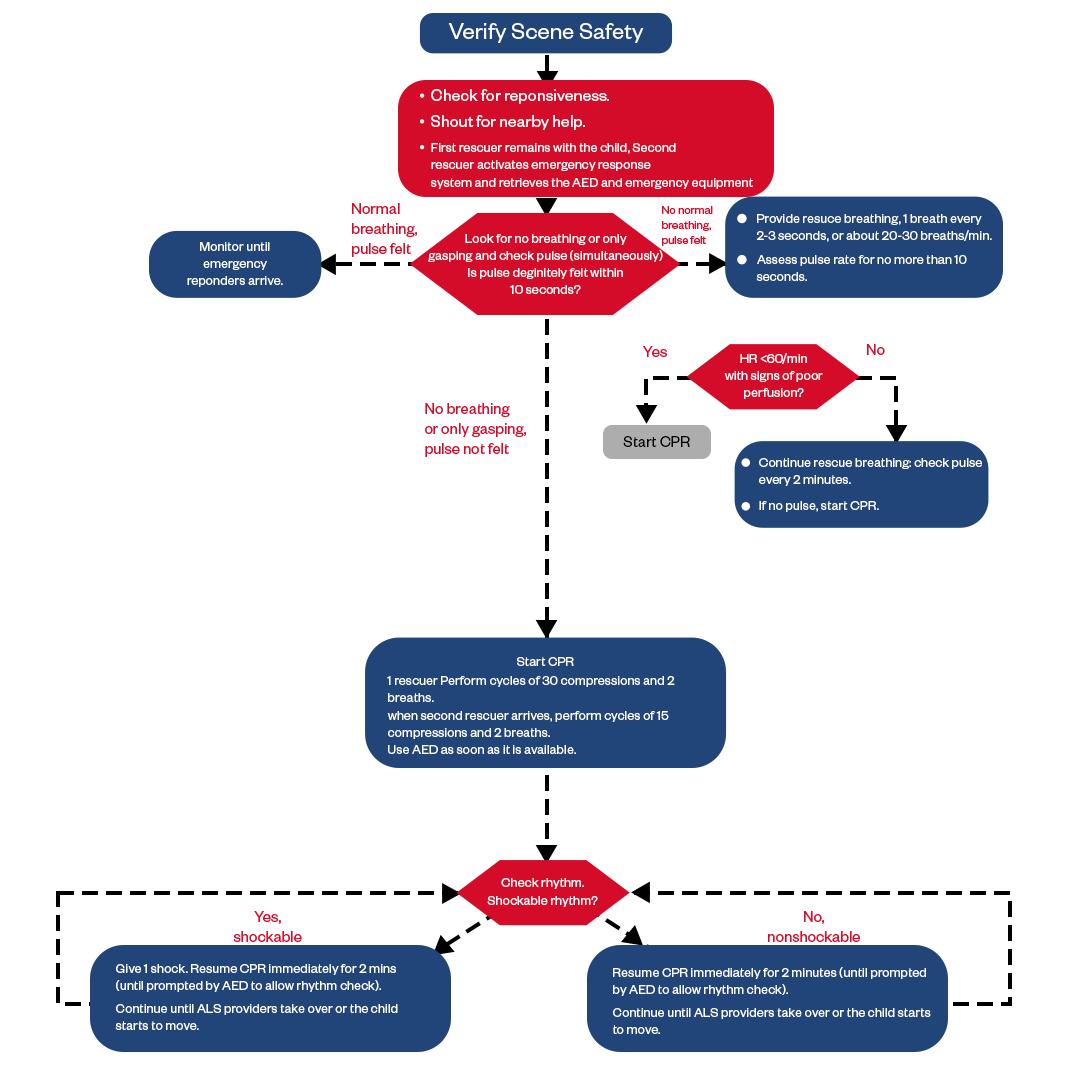 American Heart Association BLS Algorithms & Protocols 2023