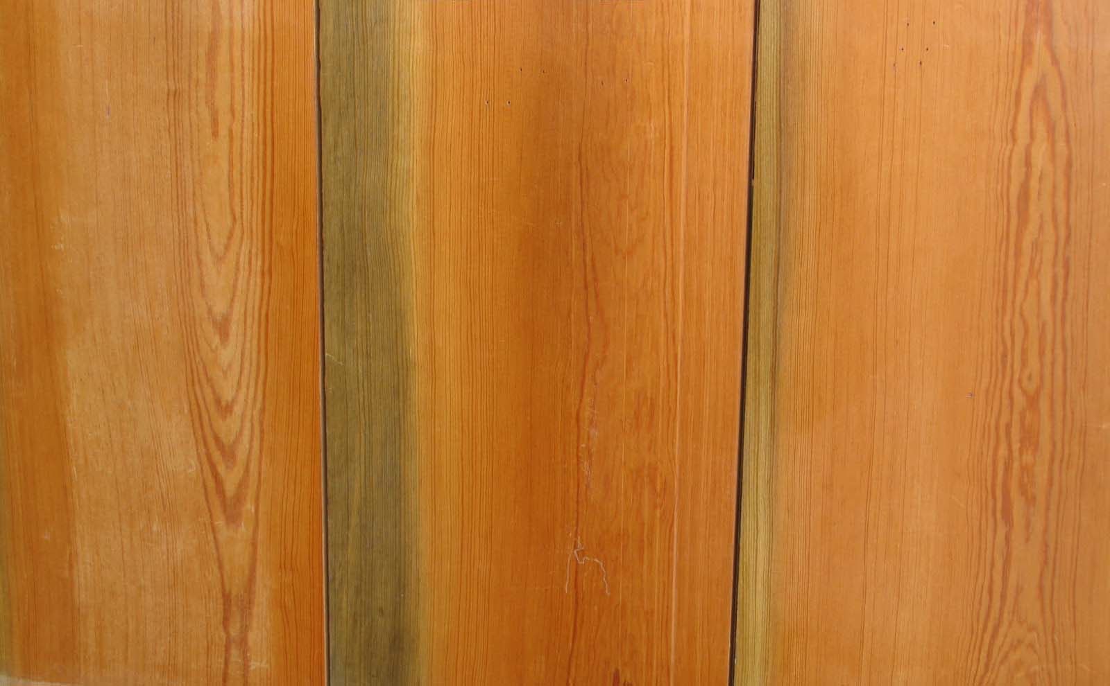 Untitled Document [heartwoods.ie]