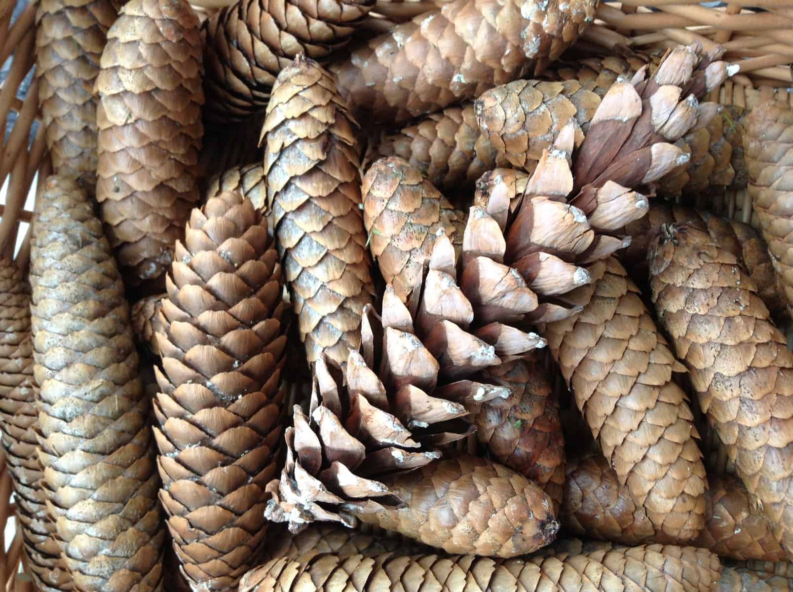 Simple Pine Cone Centerpiece