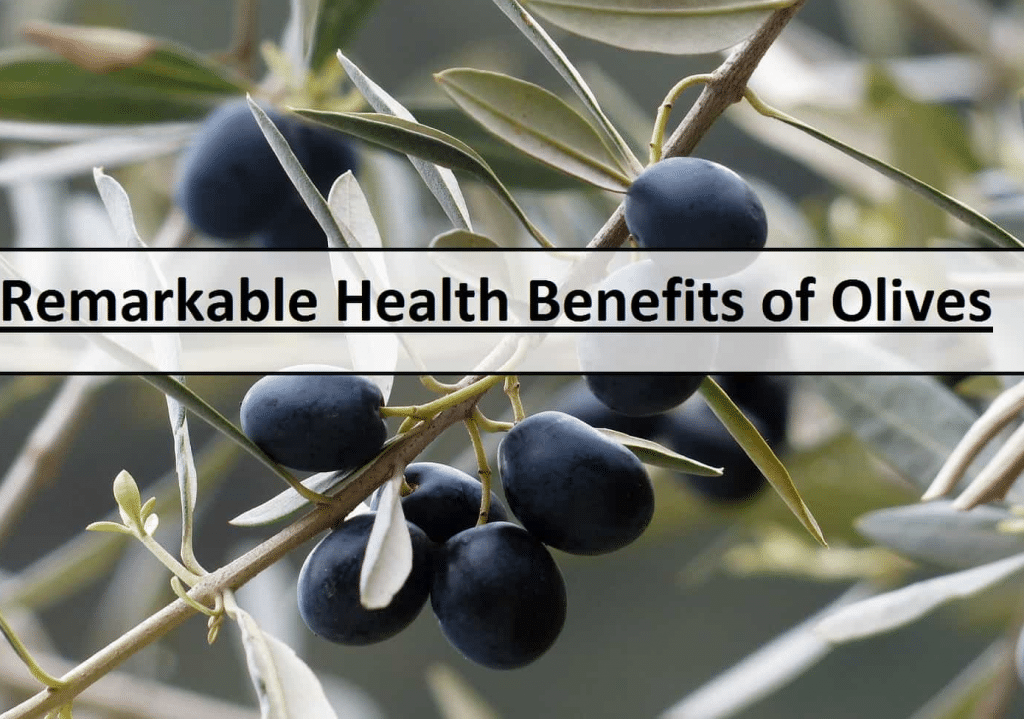 What are Black Olives? Reasons To Eat Black Olives Heatfeed