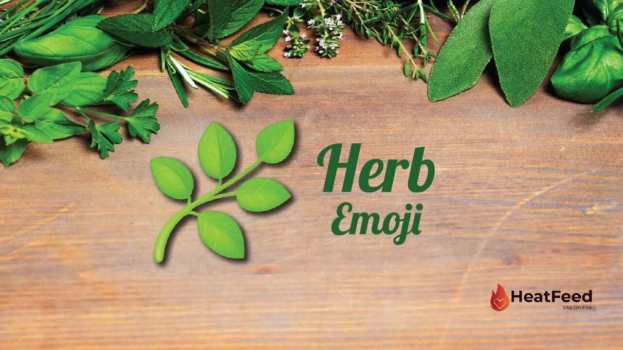 🌿 Herb EmojiMeaning, Copy, ️ & Paste 📝