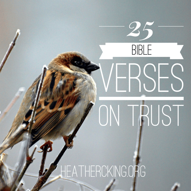 25 Bible Verses on Trust Heather C. King Room to Breathe
