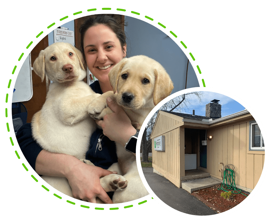 Best Veterinary Hospital In Toledo, OH Heatherdowns