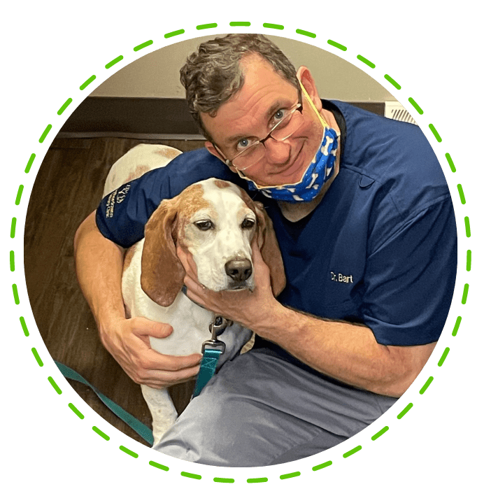 Best Veterinary Hospital In Toledo, OH Heatherdowns