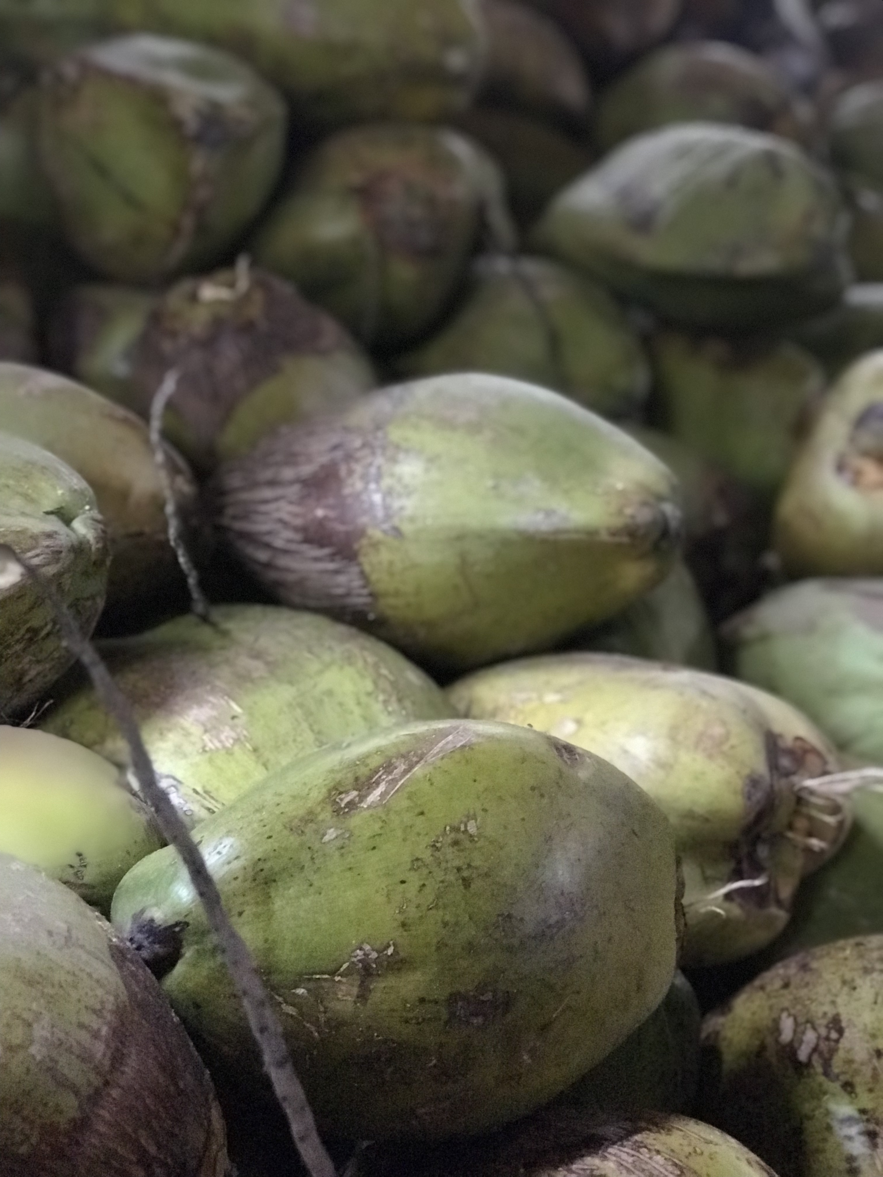 Foods to Try in San Pedro Belize Fresh Coconuts Heather Mangieri