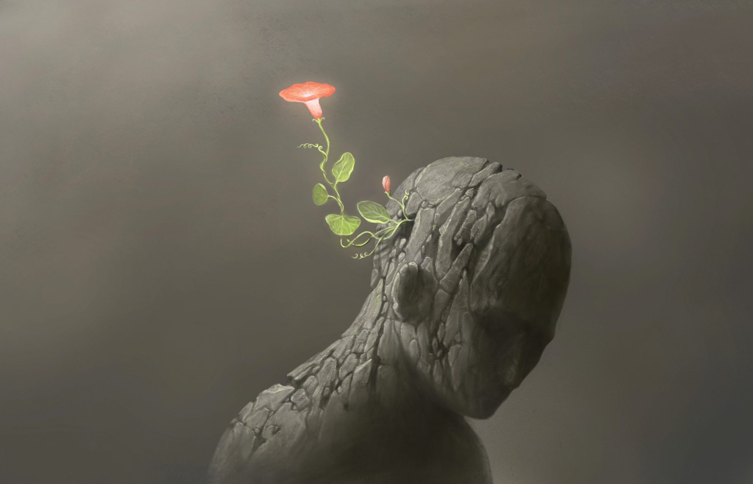 Life and freedom and hope concept , Imagination of surreal scene flower