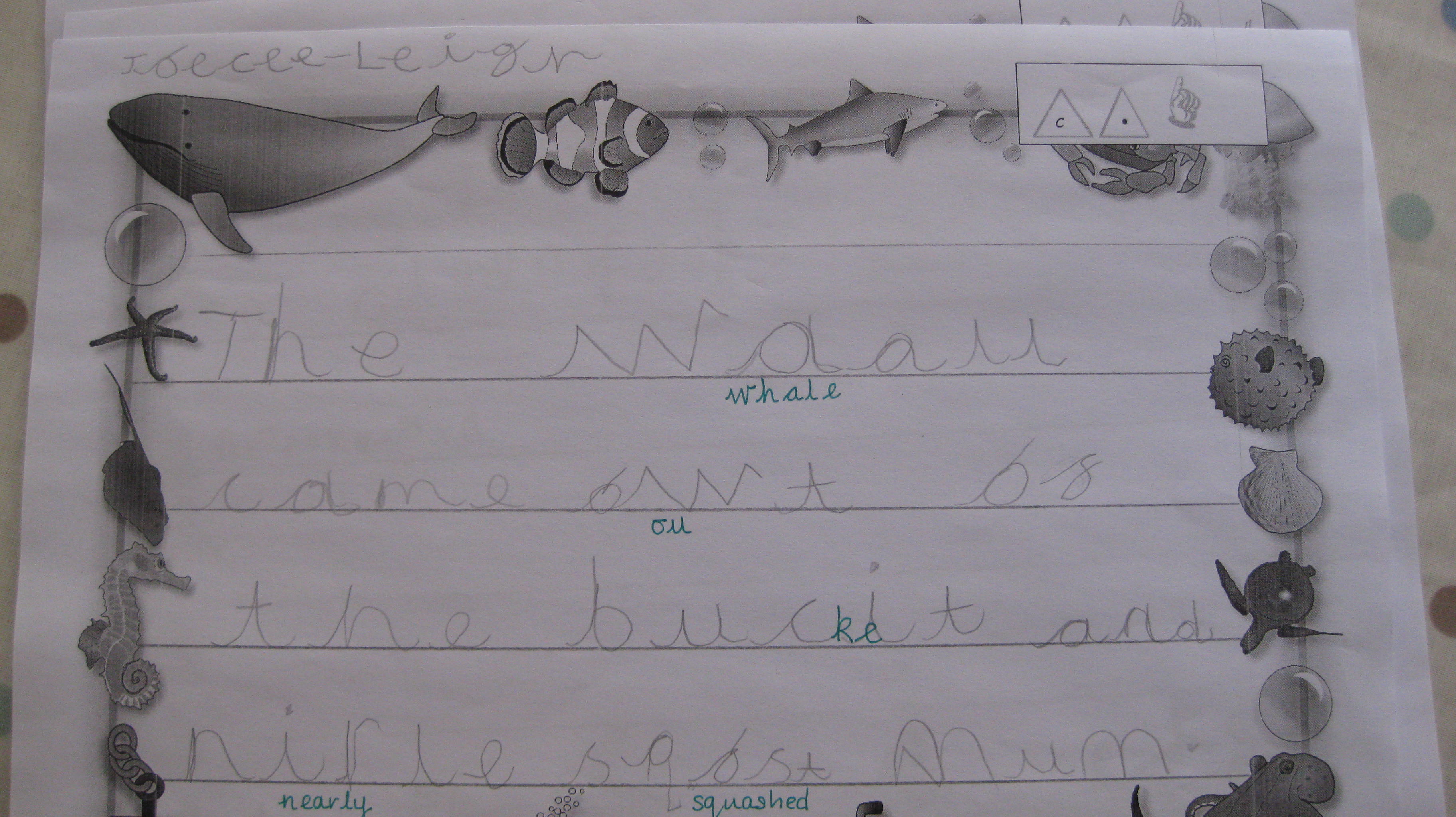 Billy’s Bucket Rocket Class Blog