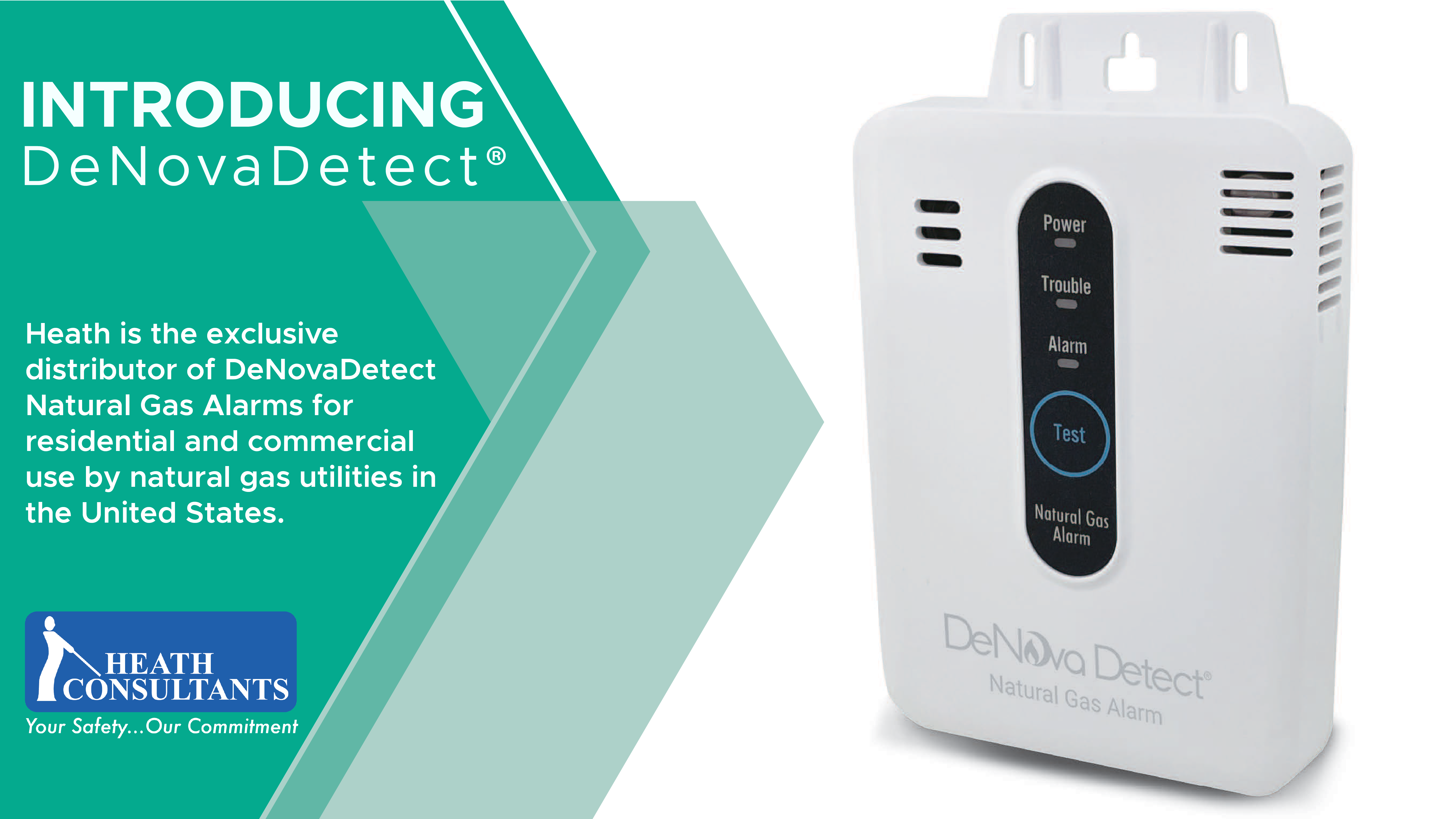 Introducing DeNova Detect® Natural Gas Alarms Heath Consultants
