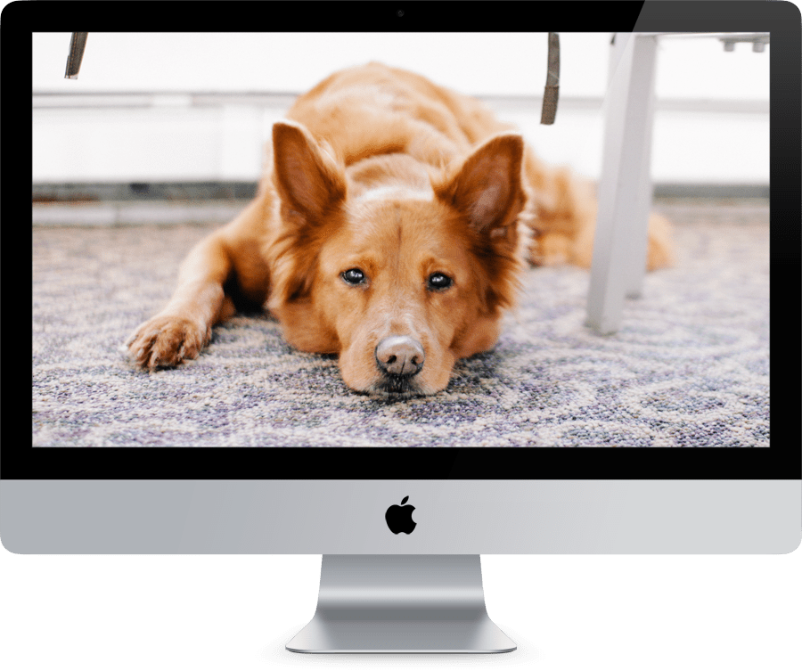 Sequim, WA HVAC Companies 98382 Air Conditioning Repair Heating Cooling