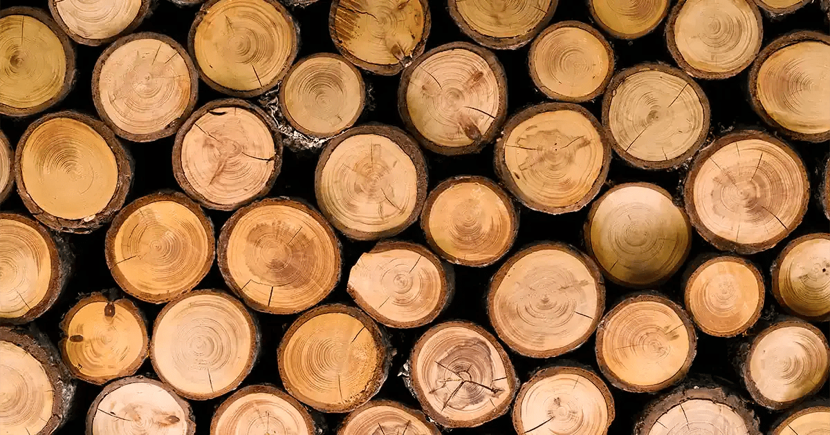 Why Lignin Extraction Usually Comes with a Catch Heat Management