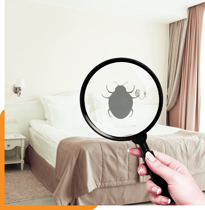Bed Bug Treatment Heat Solution Bed bug heat treatment