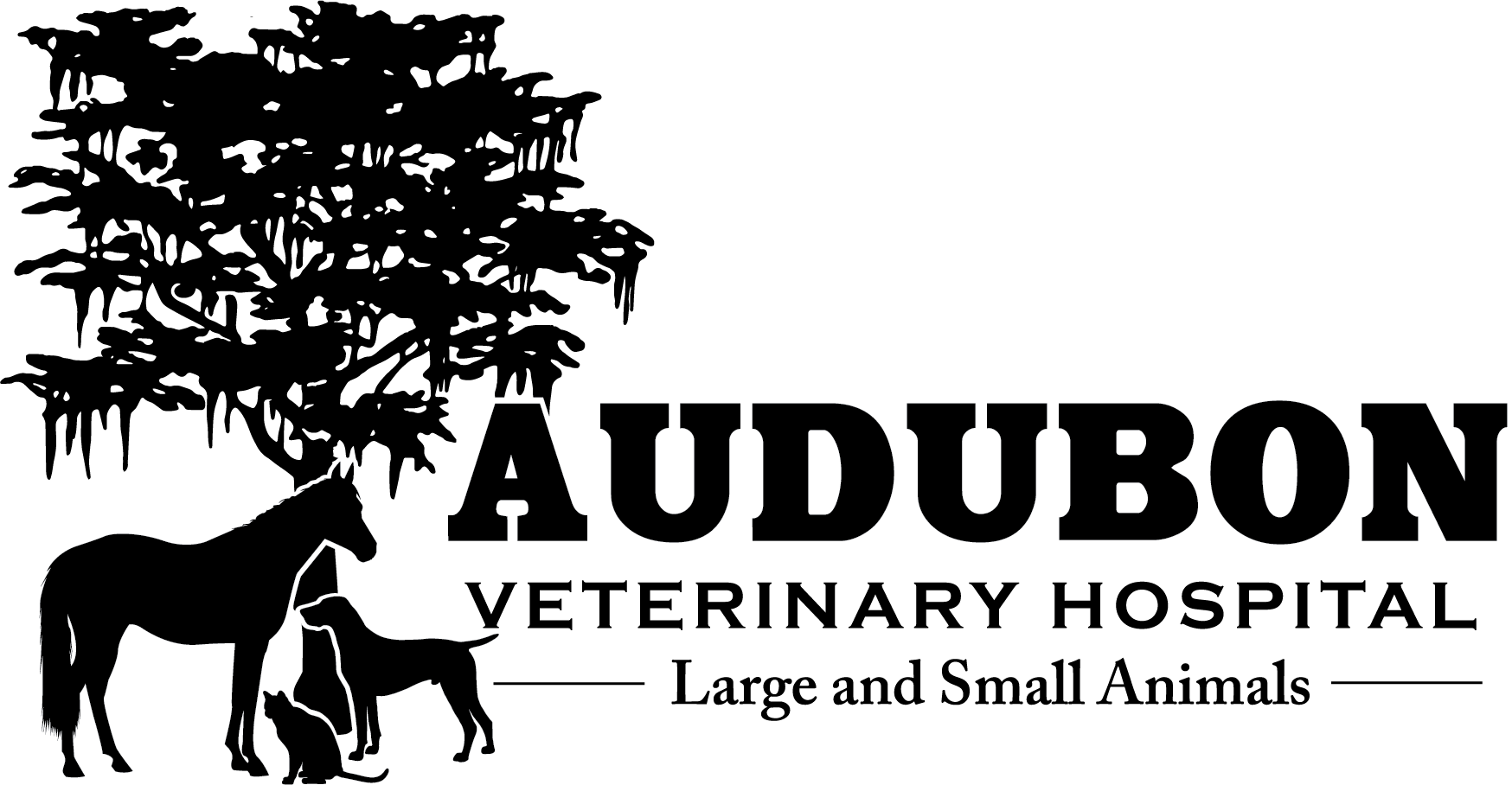 Veterinarians Heaven's Pets