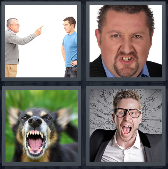 4 Pics 1 Word Answer for Dog Snarl, Scowl, Yell, Reprimand