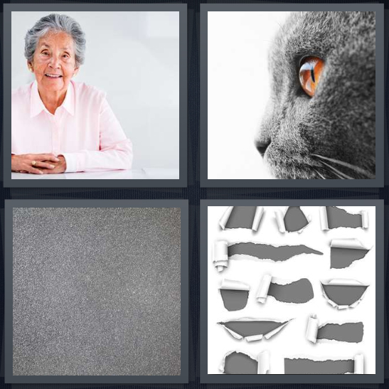 4 Pics 1 Word Answer for Grandma, Cat, Steel, Ripped