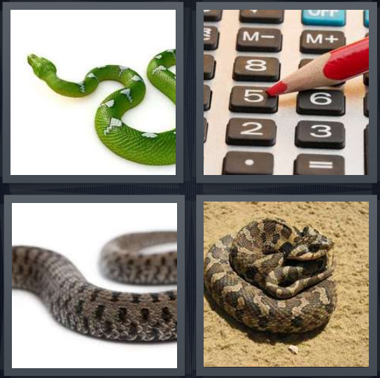 4 Pics 1 Word Answer for Snake, Calculator, Cobra, Rattlesnake