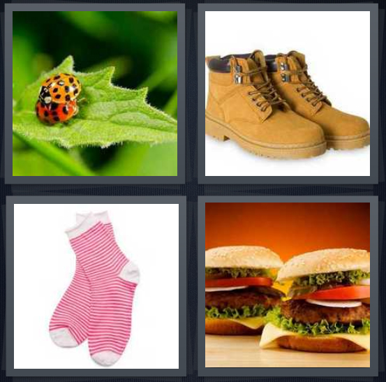 4 Pics 1 Word Answer for Ladybug, Boots, Socks, Burgers