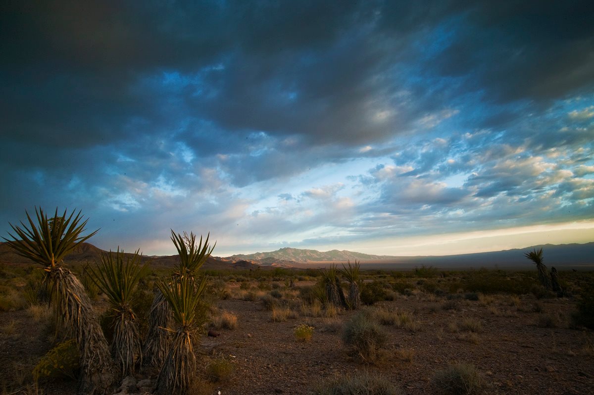 Nipton, California 5 Fast Facts You Need to Know