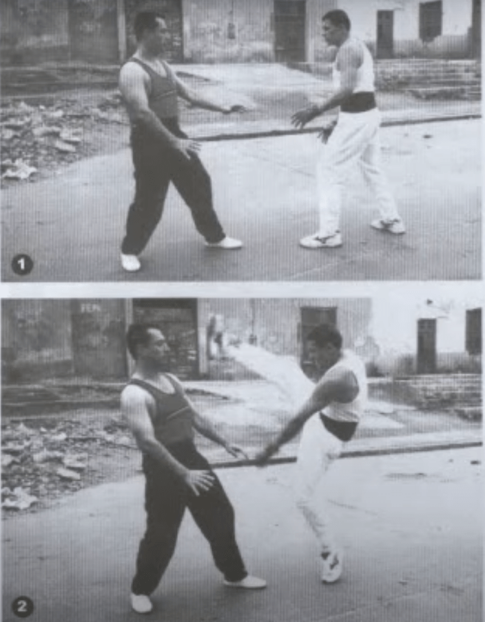 Top 20+ Deadliest Martial Arts (Researched and Ranked) HeavyBJJ