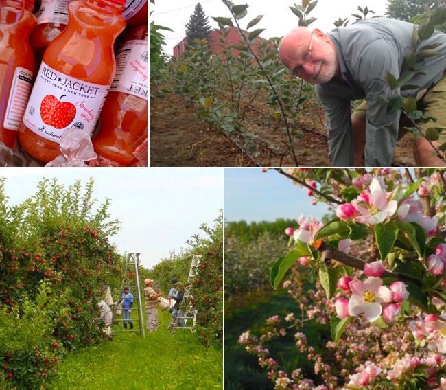 Introducing Red Jacket Orchards Heavy Table