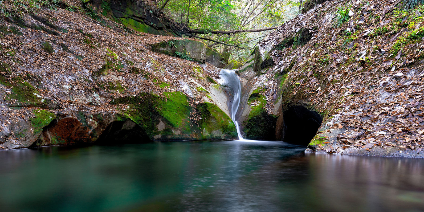The benefits of Natural Astaxanthin vs. Synthetic Astaxanthin HEBE Life