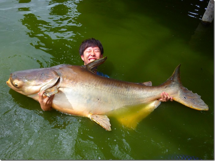 怪魚ハンター「沖山朝俊」がスゴイ。世界中の怪魚を釣りまくってる！！～後半～ hebinuma