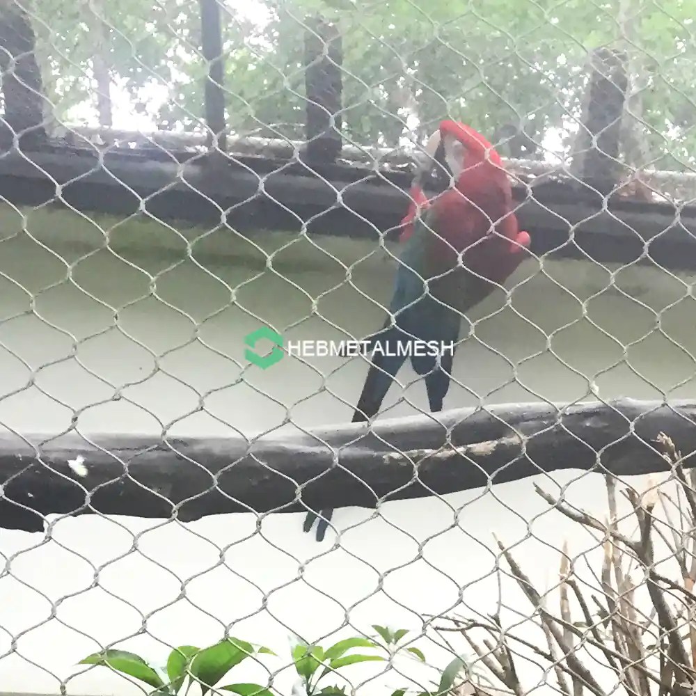 The Benefits of Using Hebmetalmesh Bird Netting