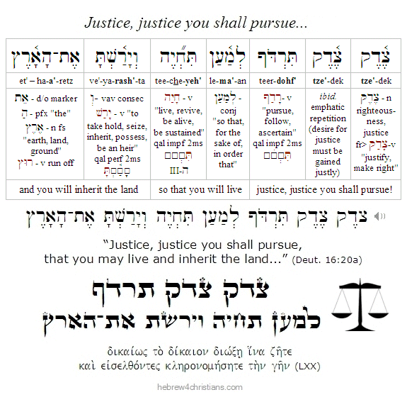 Pursue Justice "Tzedek, Tzedek Tirdof"