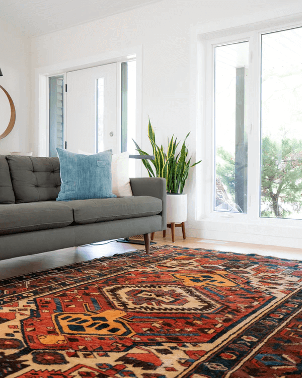 5 Things to Consider Before Getting a Free Carpet Quote HeckHome