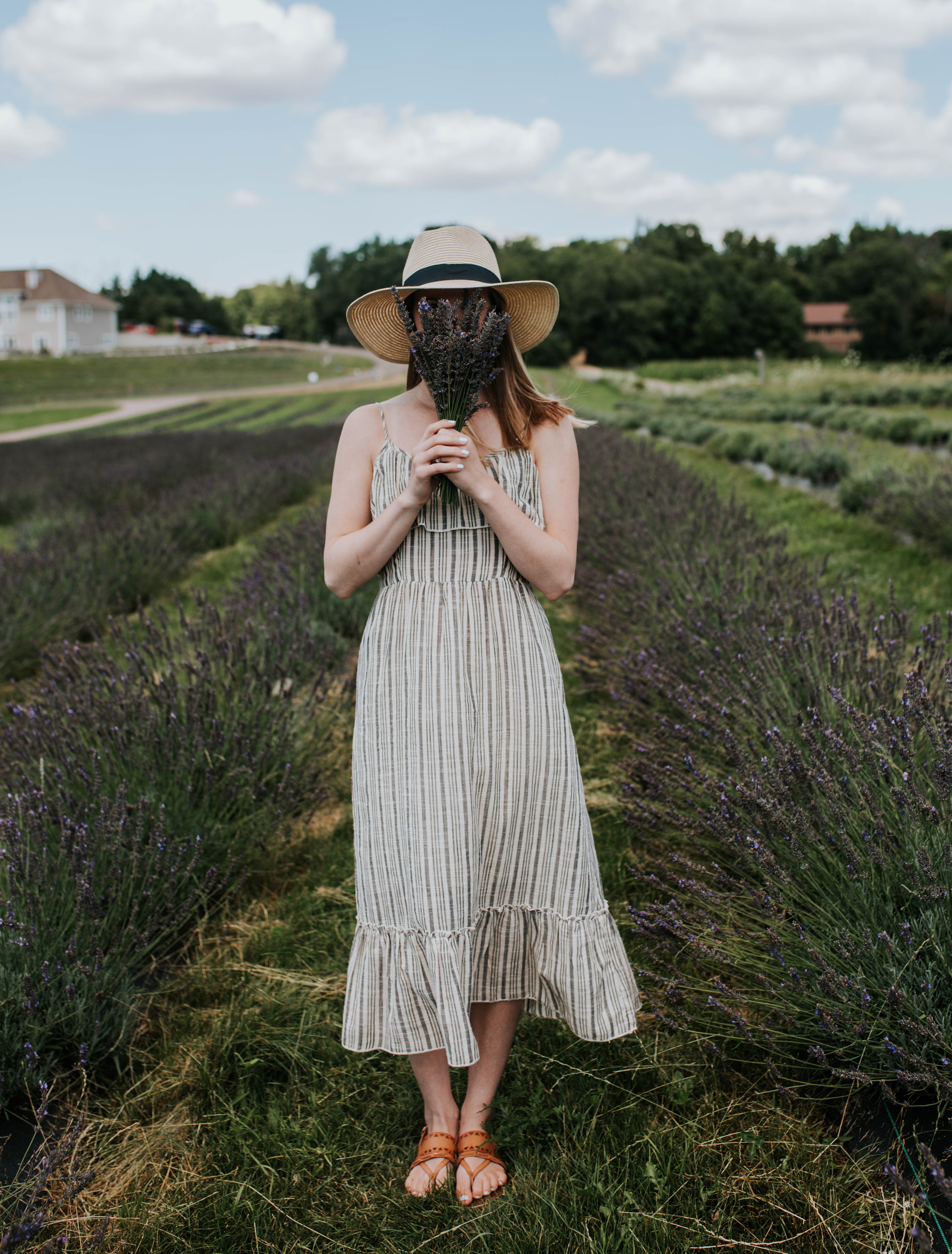 Devil’s Lake Lavender
