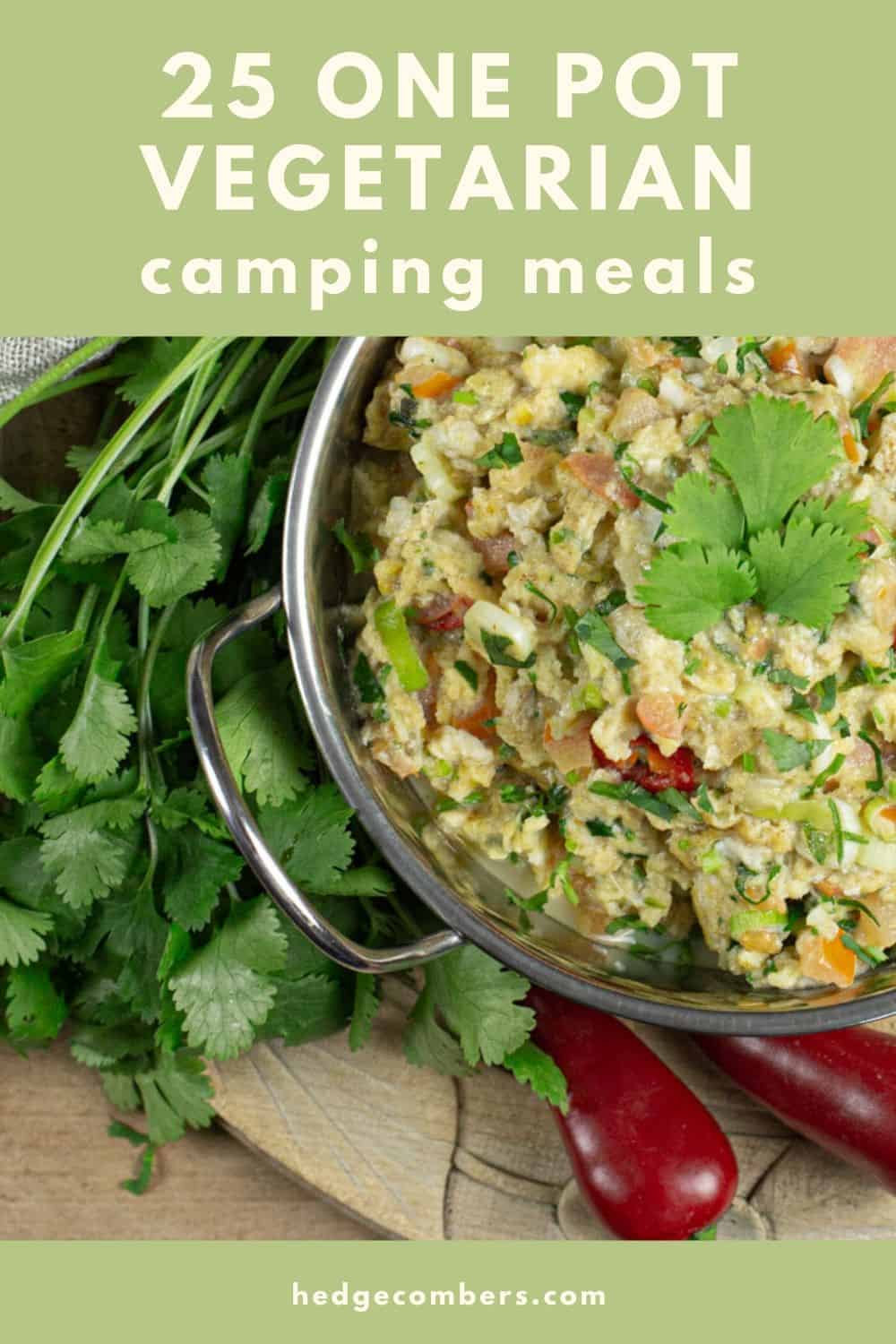 One Pot Vegetarian Camping Meals eBook The