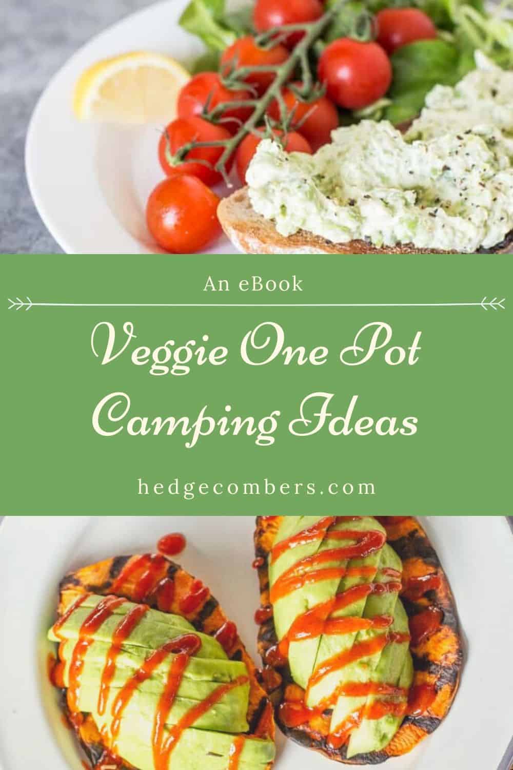 One Pot Vegetarian Camping Meals eBook The
