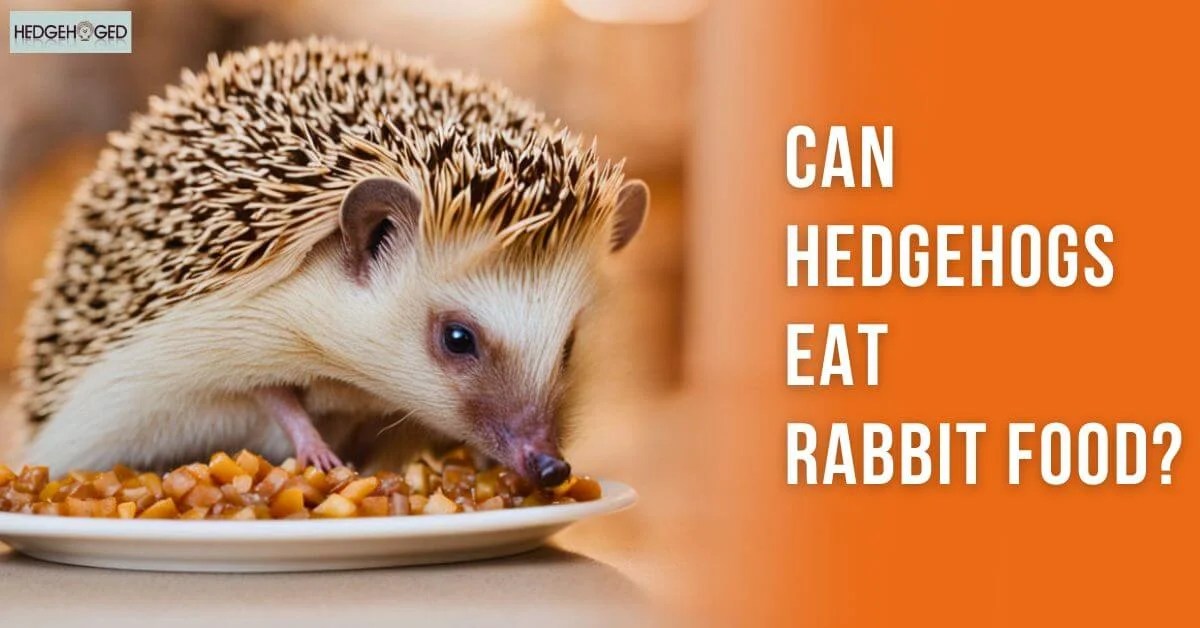 Can Hedgehogs Eat Rabbit Food? All You Need to Know!