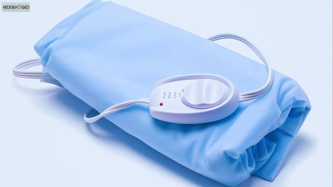 How to Control Hedgehog Temperature? A StepbyStep Guide