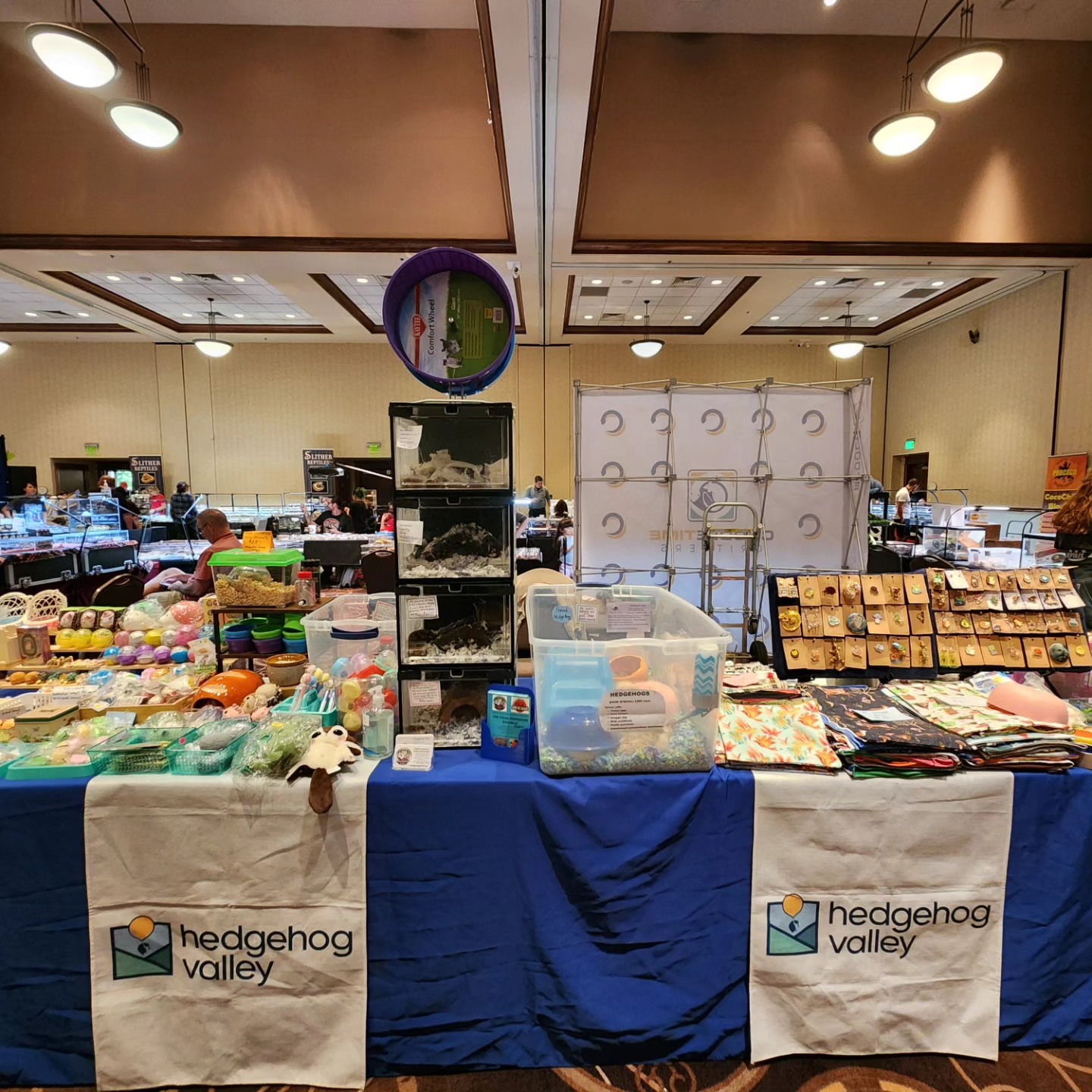 Hedgehog Supplies and Collectibles